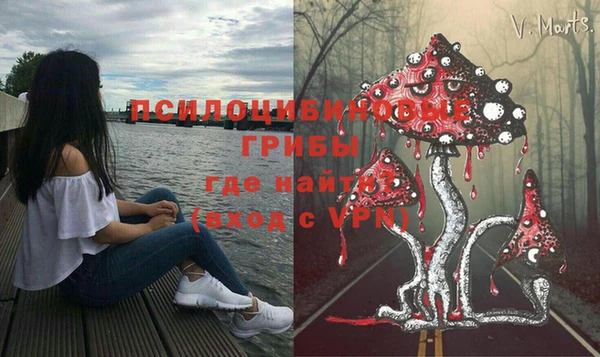 гашик Балахна