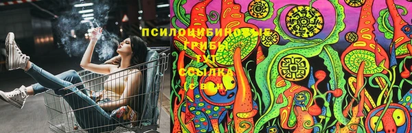 спайс Баксан
