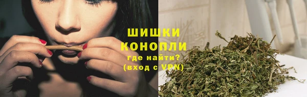 гашик Балахна