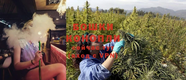 спайс Баксан