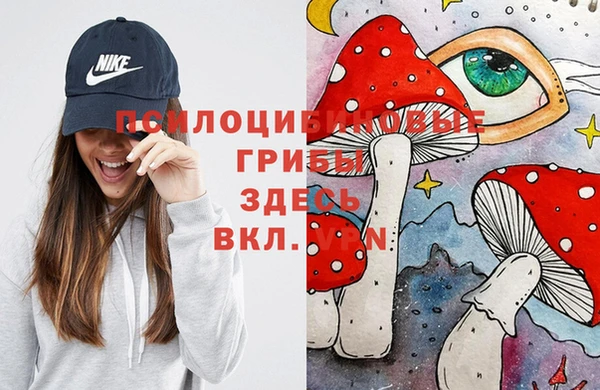 ALPHA-PVP Новозыбков