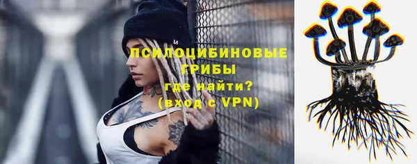 гашик Балахна